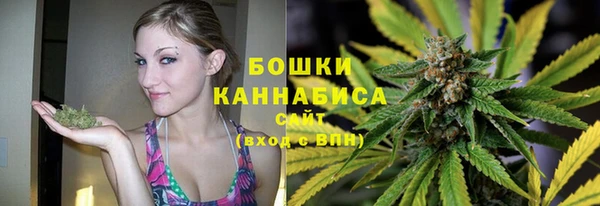 гидра Нея