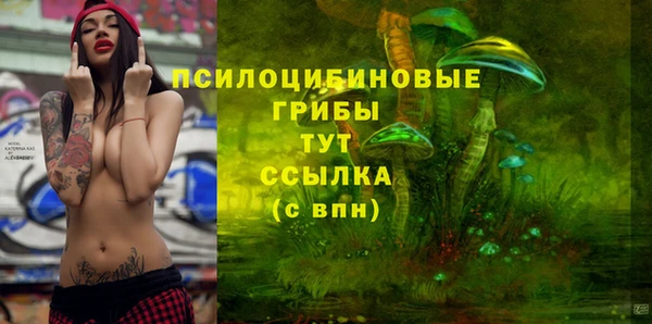 гидра Нея