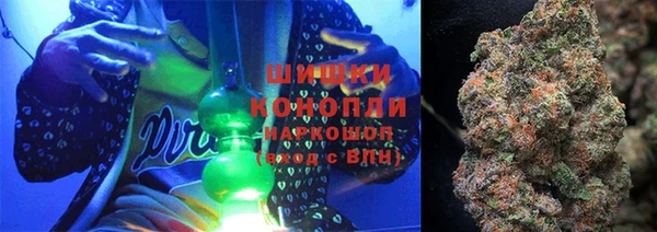 гидра Нея