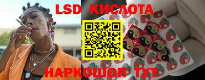 кокс Гай