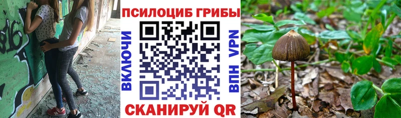 где можно купить наркотик Казань Галлюциногенные грибы GOLDEN TEACHER